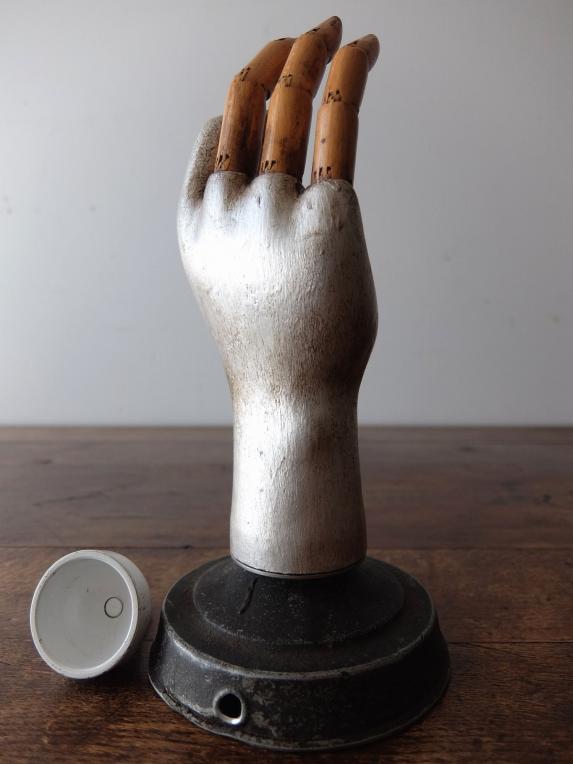 Prosthetic Hand (A1116)