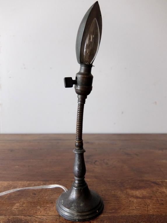Goose Neck Desk Lamp (A0919)