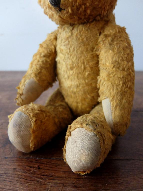 Plush Toy 【Bear】 (A1023-01)