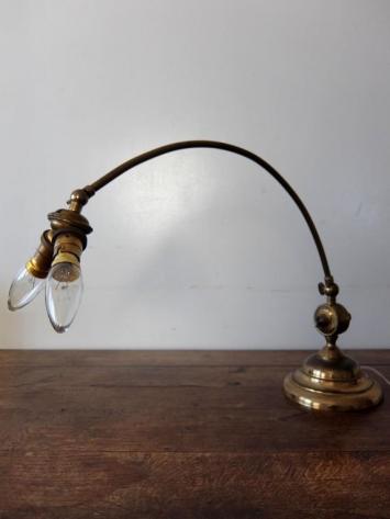 Adjustable Desk Lamp (A0921)