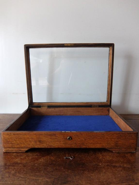 Display Case (A1022)