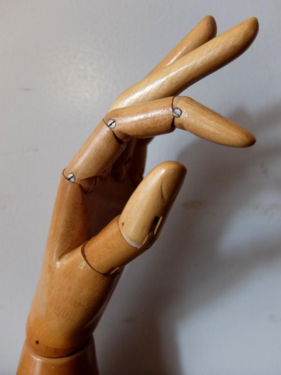 Mannequin's Hand (A1020-01)