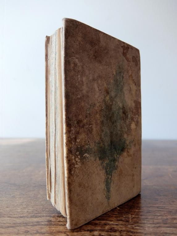 Antique Book (F0916)