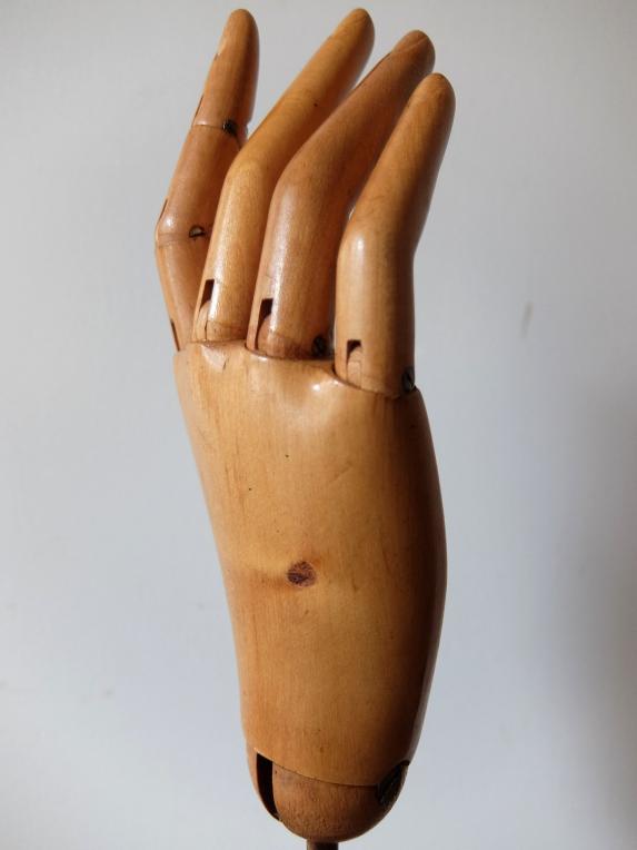 Mannequin's Hand (A0916-03)