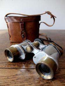 Binoculars (A1016)