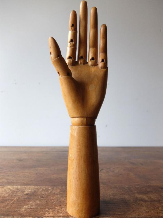 Mannequin's Hand (A1017)