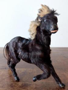 Animal Figure Model 【Horse】 (B1119)