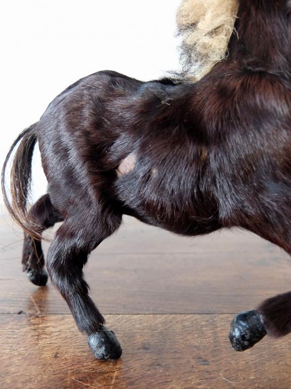 Animal Figure Model 【Horse】 (B1119)