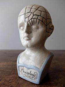 Phrenology Head (A1018)