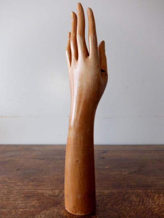 Glove Hand Display (A1121)