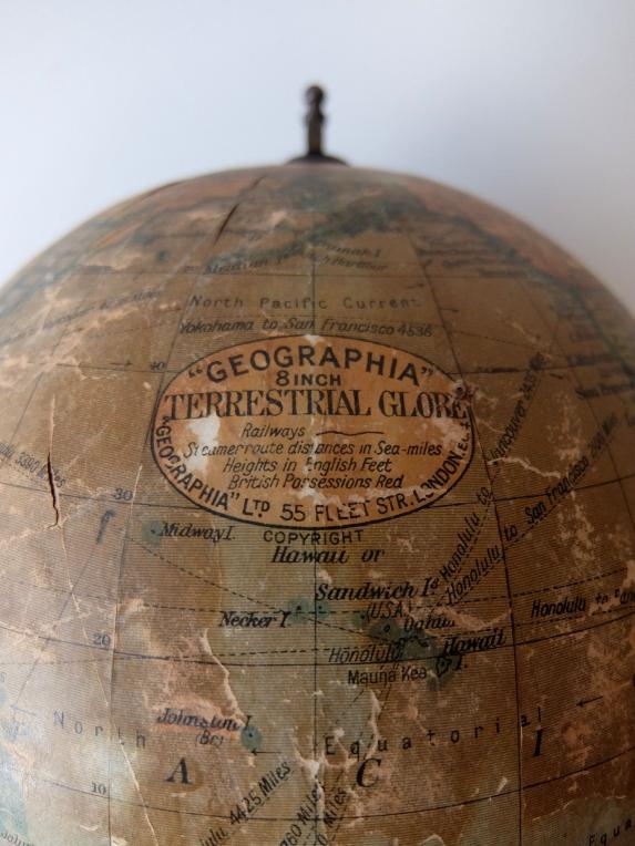 Terrestrial Globe (A1119)