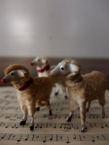 Sheep (A1014)