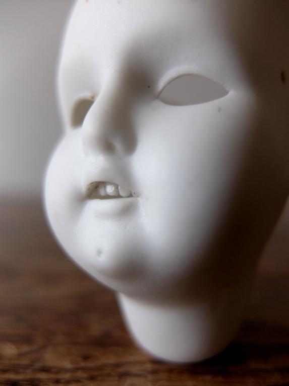 Porcelain Doll's Head (D1116)