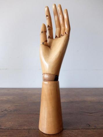 Mannequin's Hand (A1120-01)