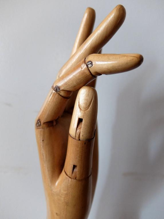 Mannequin's Hand (A1120-01)