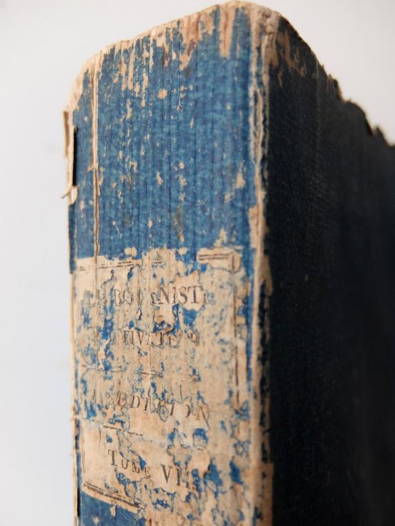 Antique Book (B1019)