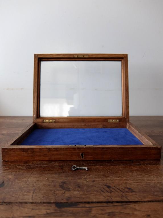 Display Case (A1221)