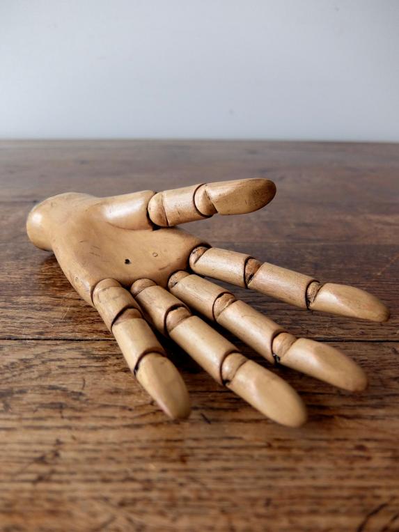 Mannequin's Hand (A1216)