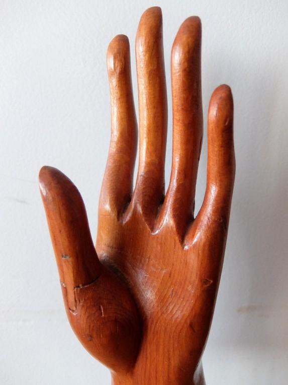 Glove Hand Display (A1221)