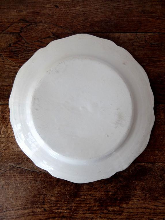 White Plate (C0916)