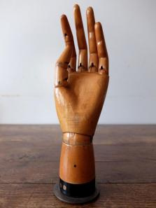 Mannequin's Hand (A1220)