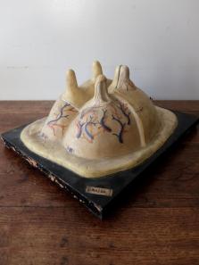 Anatomical Model 【Bovine Mammary Tissue】 (A1123)