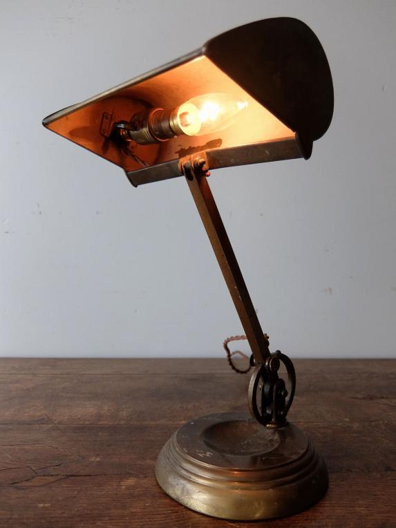 Adjustable Desk Lamp (A1019)